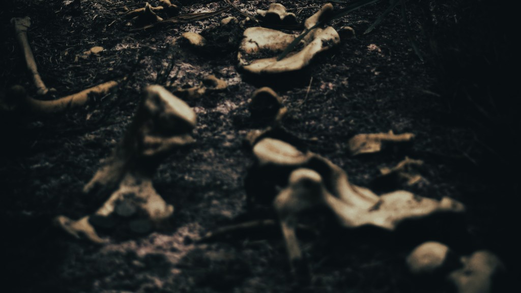 How are we not talking about the&nbsp;corpses?